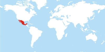 Karta Meksika globalne